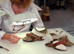 Many conservation projects were generously supported by funders