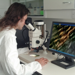 Paul Garside (2002) Investigations of Analytical Techniques for the Characterisa