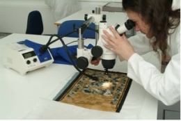 Dr Paul Garside, Research Fellow investigating silk deterioration
