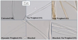 Light micrographs of weighted silk fibres, prepared for the research project